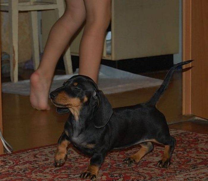 Foto pobudka #333 22