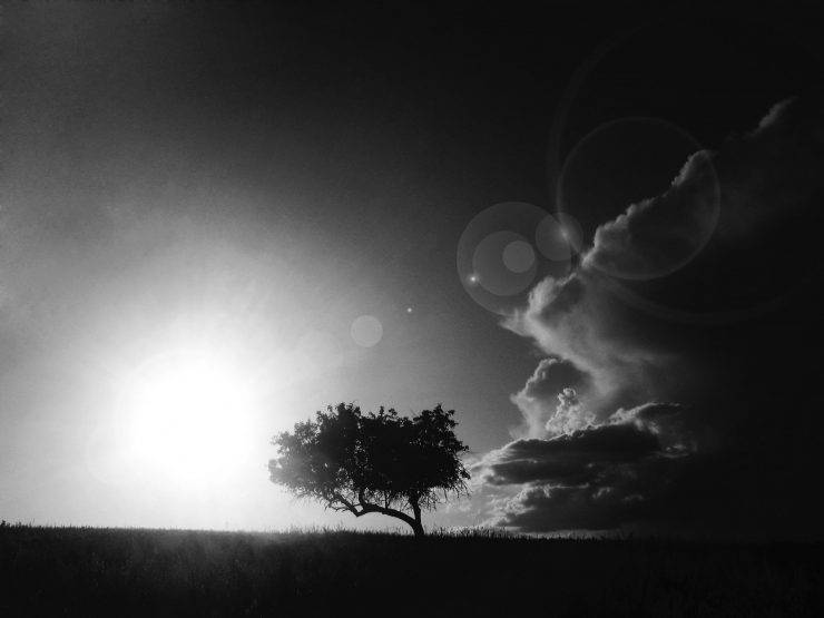 Foto pobudka #360 7