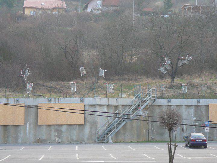 Foto pobudka #310 4