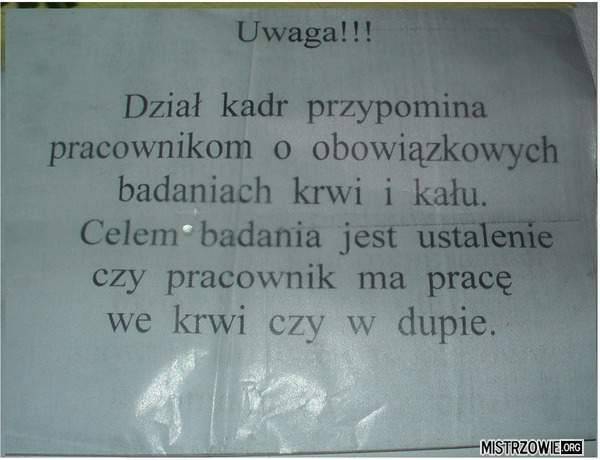 Foto pobudka #382 68