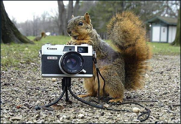 Fotografowie, czyli po drugiej stronie obiektywu 49