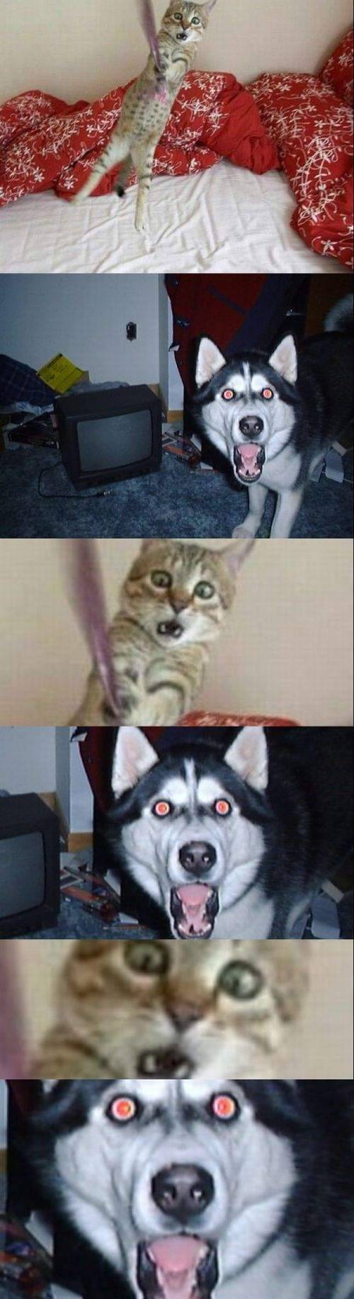 Śmieszne fotostory 1