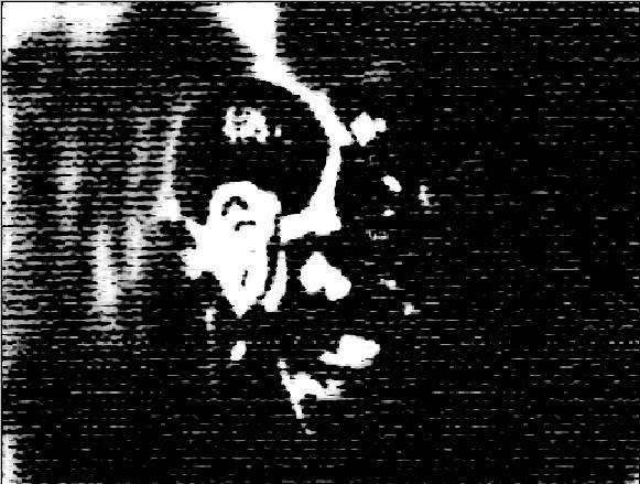 rozne roznosci 2