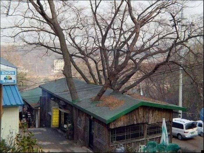 Natura zawsze sobie poradzi 2