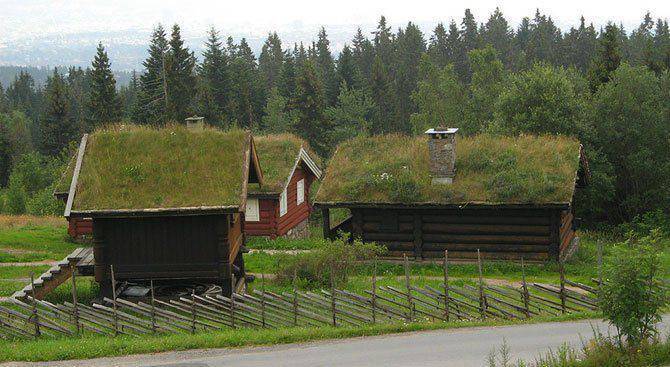 Zielone dachy w Norwegii #2 12