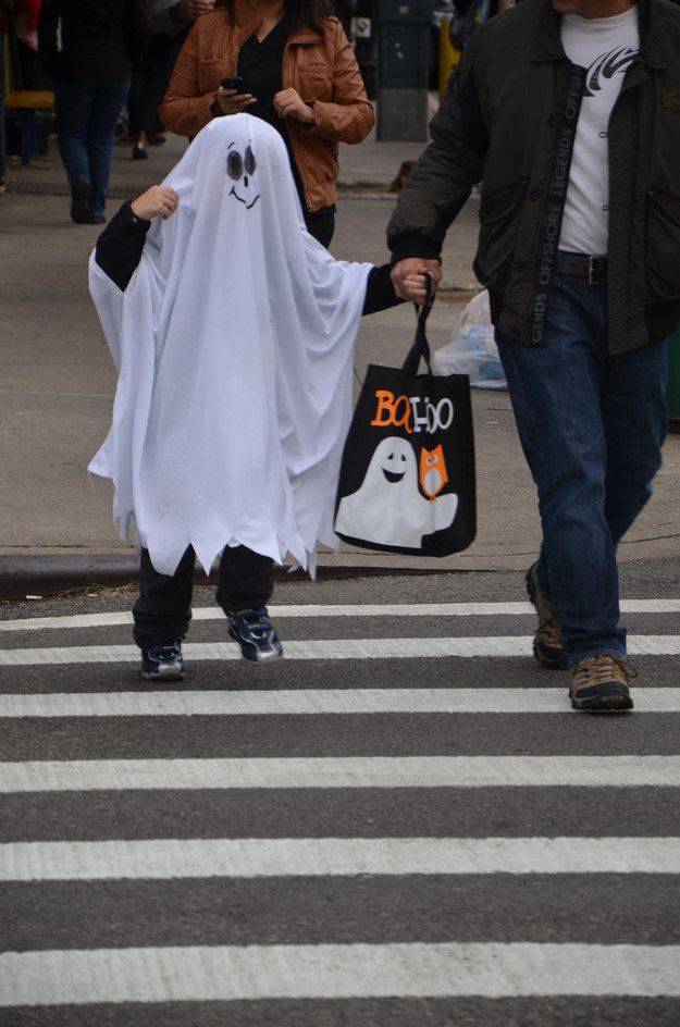 Foto pobudka #1193 14