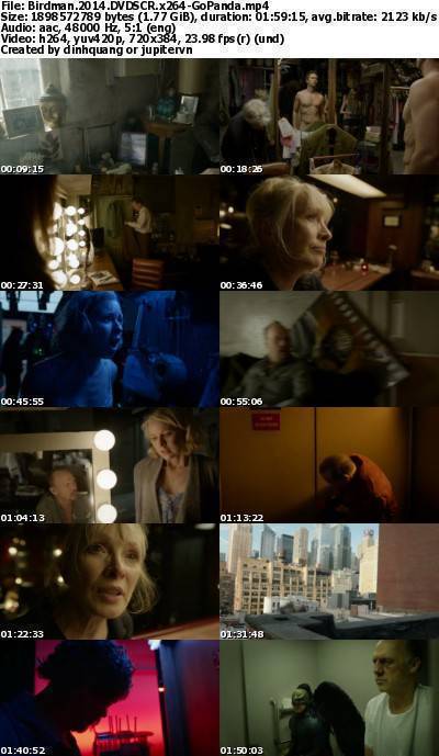 Birdman (2014) DVDSCR x264-GoPanda Birdman (2014) DVDSCR x264-GoPanda