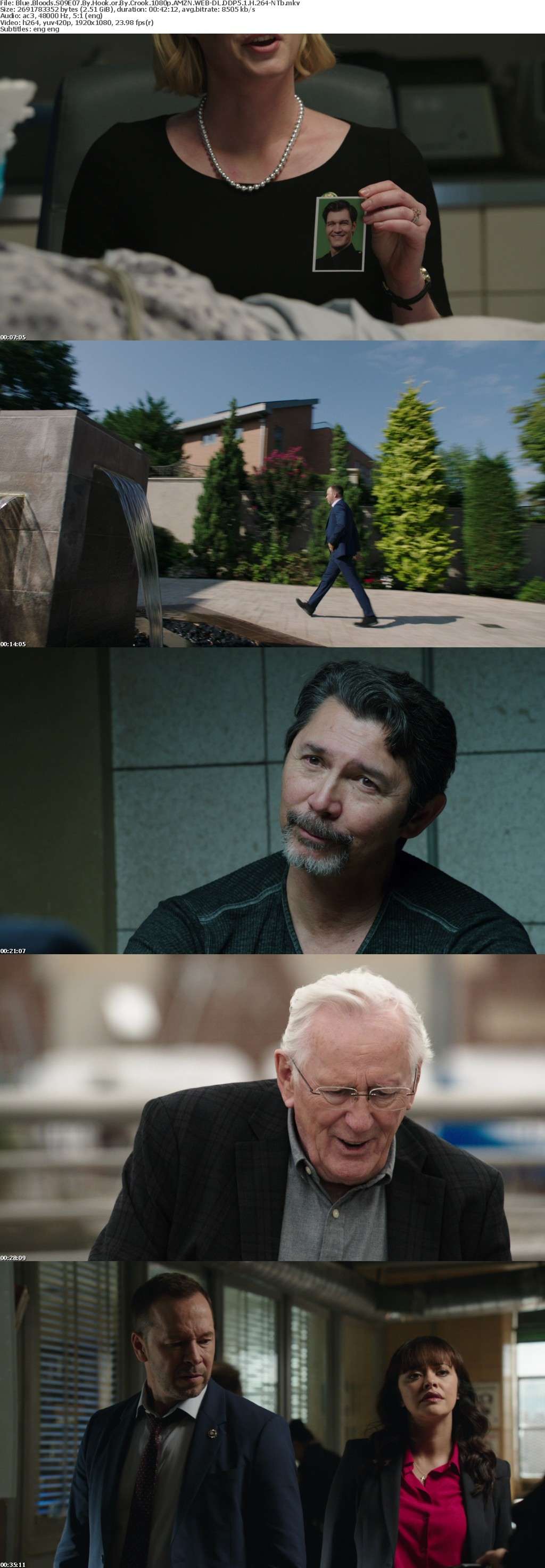 Blue Bloods S09E07 By Hook or By Crook 1080p AMZN WEB-DL DDP5 1 H 264-NTb Blue Bloods S09E07 By Hook or By Crook 1080p AMZN WEB-DL DDP5 1 H 264-NTb