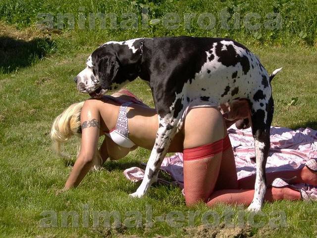 massage sex dk k9 sex massage sex dk k9 sex