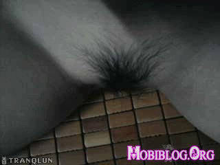 © Mobiblog.Org