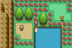 [PokeCommunity.com] Pokemon: (Happiness)