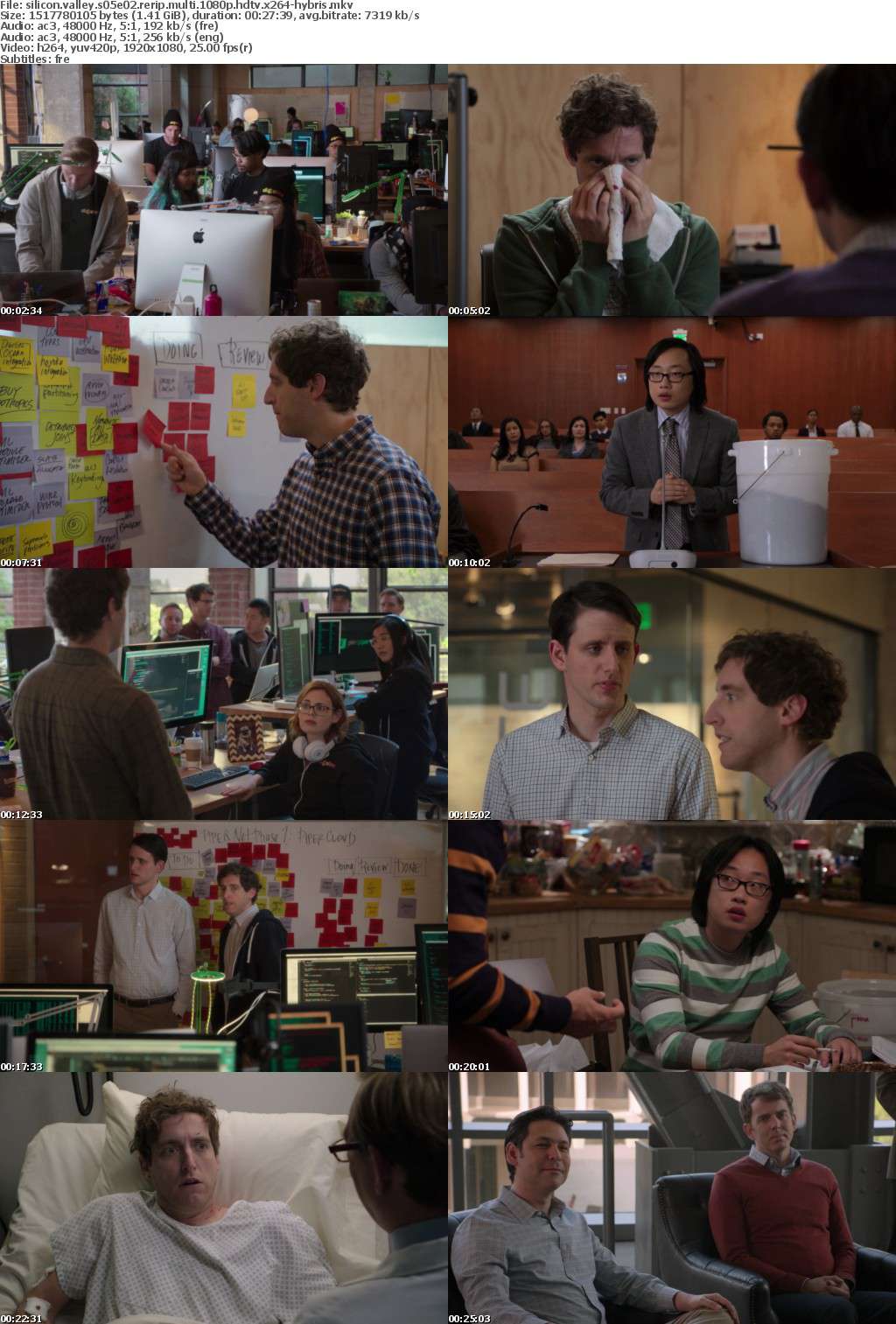 Silicon Valley S05E02 RERiP MULTi 1080p HDTV x264-HYBRiS Silicon Valley S05E02 RERiP MULTi 1080p HDTV x264-HYBRiS