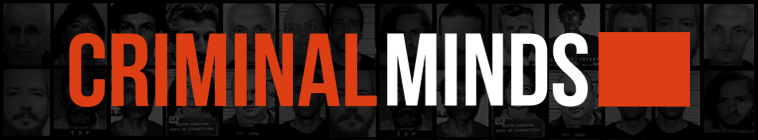 Criminal Minds S13E20 720p HDTV x264-AVS Criminal Minds S13E20 720p HDTV x264-AVS
