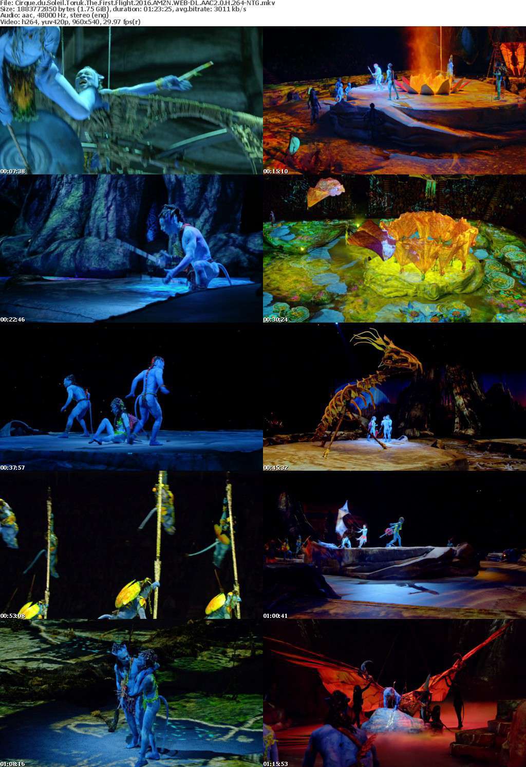 Cirque du Soleil Toruk The First Flight 2016 AMZN WEB-DL AAC2 0 H 264-NTG Cirque du Soleil Toruk The First Flight 2016 AMZN WEB-DL AAC2 0 H 264-NTG