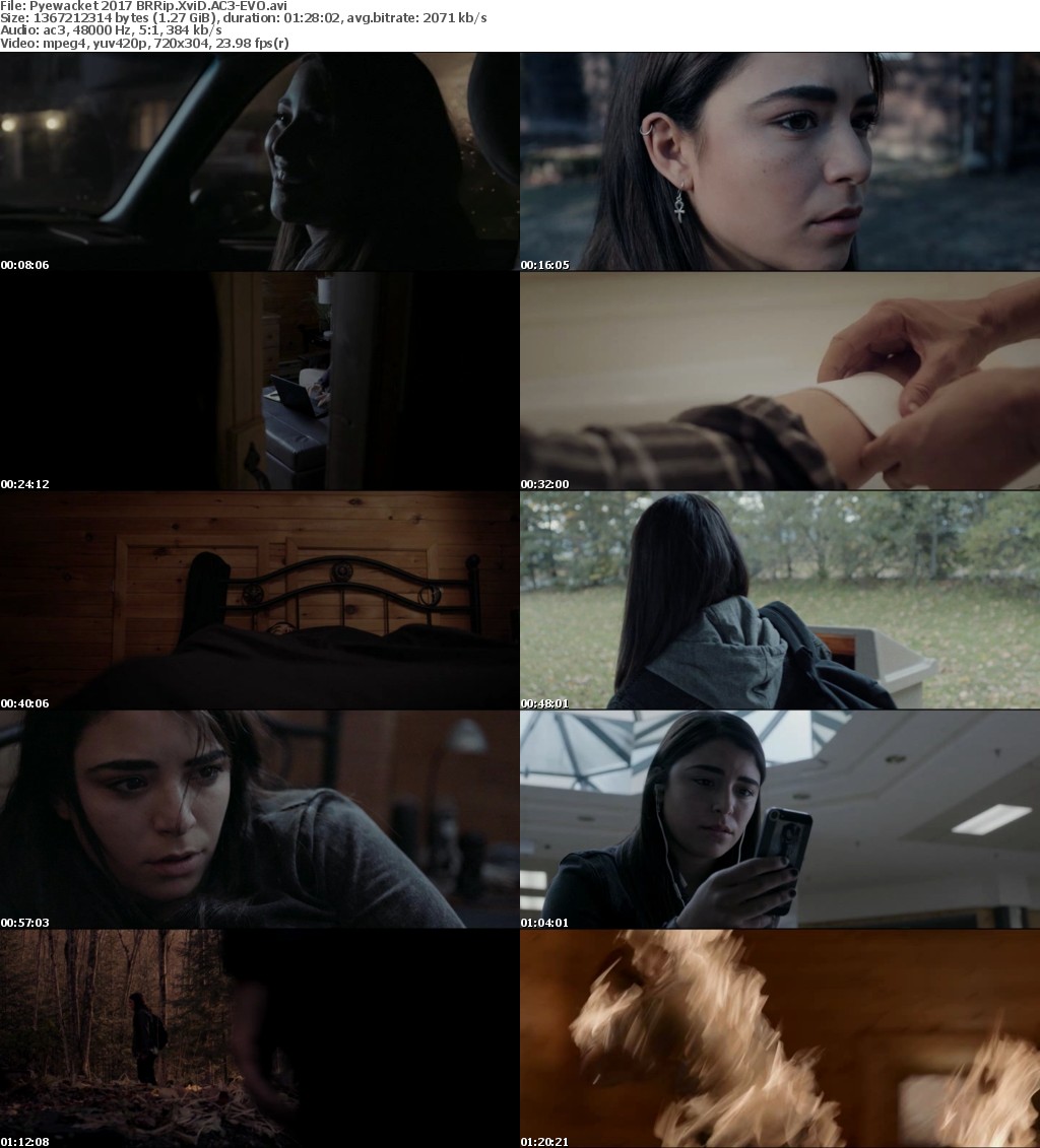 Pyewacket (2017) BRRip XviD AC3-EVO