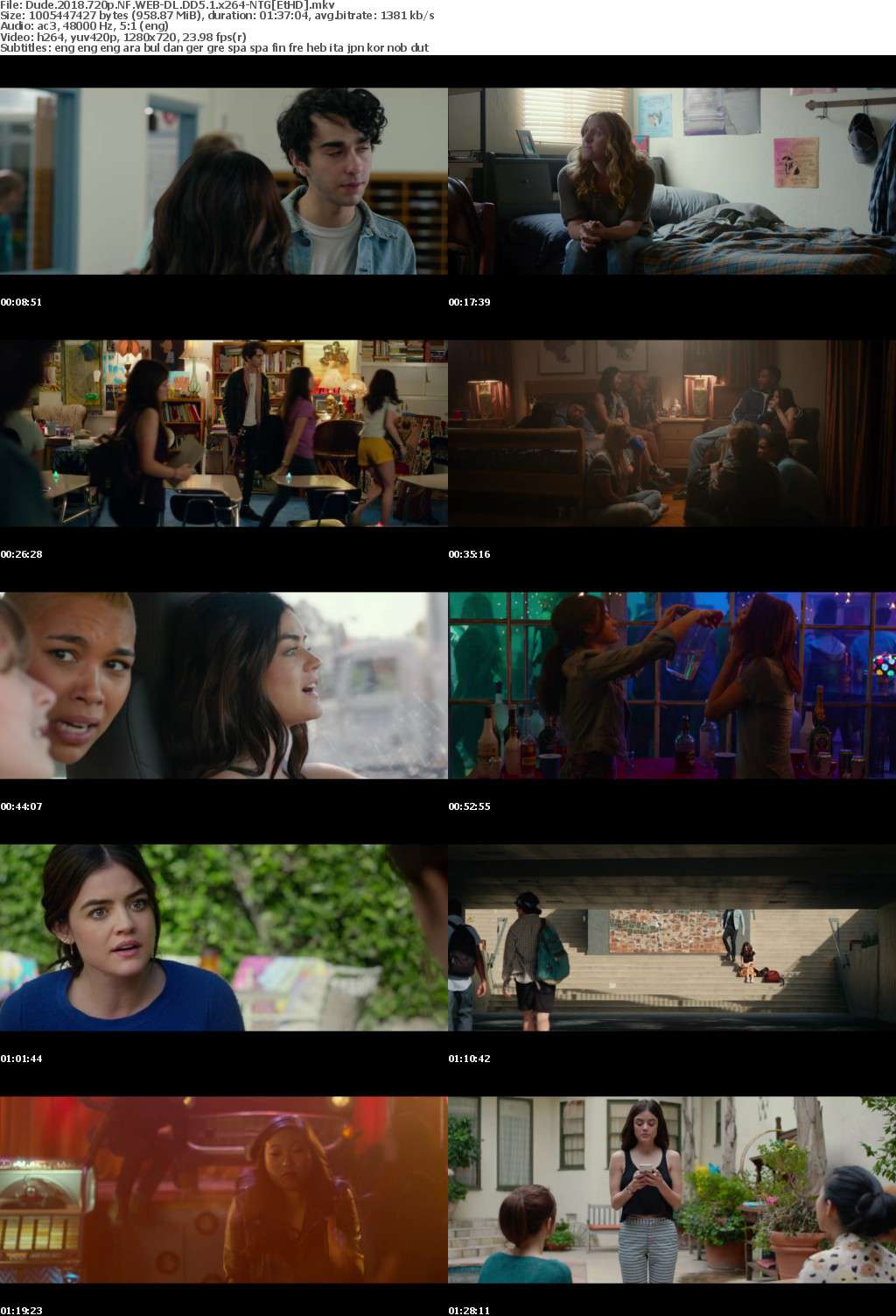 Dude (2018) 720p NF WEB-DL DD5.1 x264-NTG