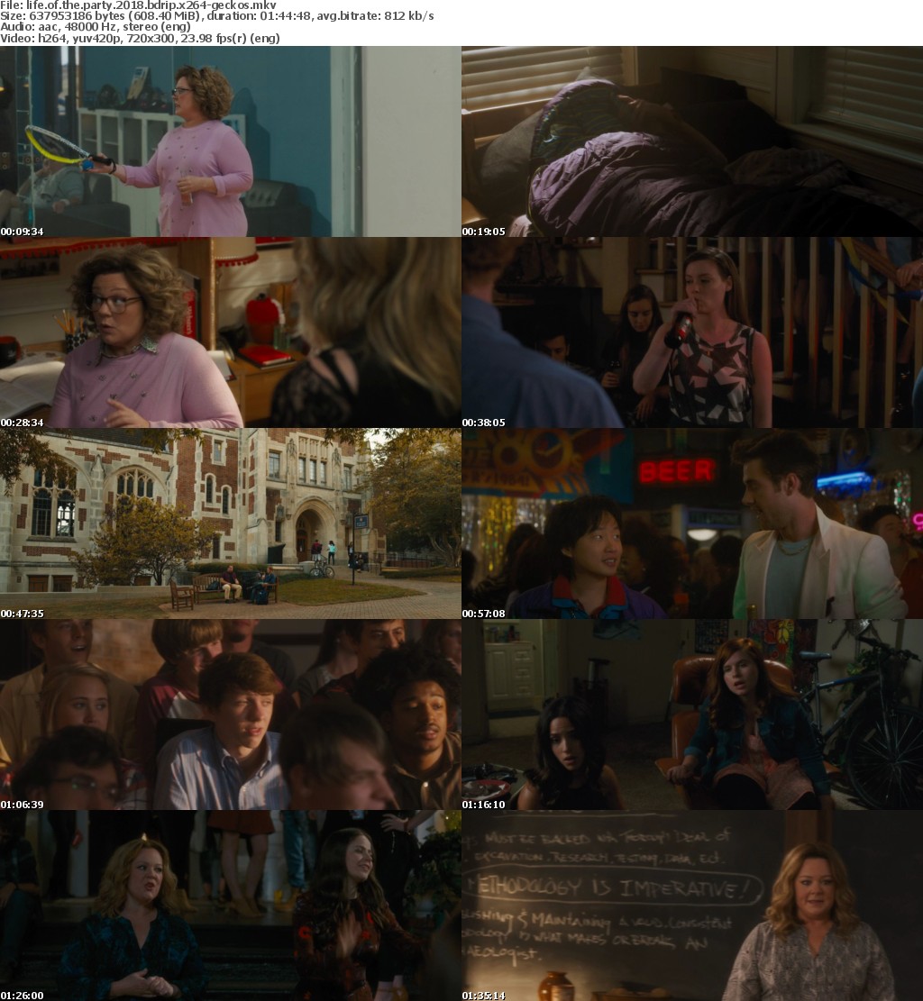 Life Of The Party (2018) BDRip x264-GECKOS