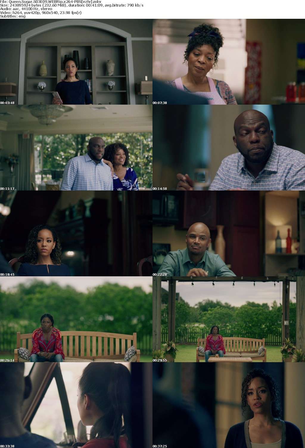 Queen Sugar S03E09 WEBRip x264-PBS