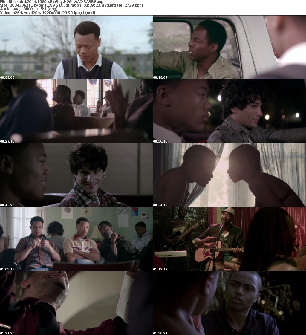 Blackbird 2014 1080p BluRay H264 AAC-RARBG Blackbird 2014 1080p BluRay H264 AAC-RARBG