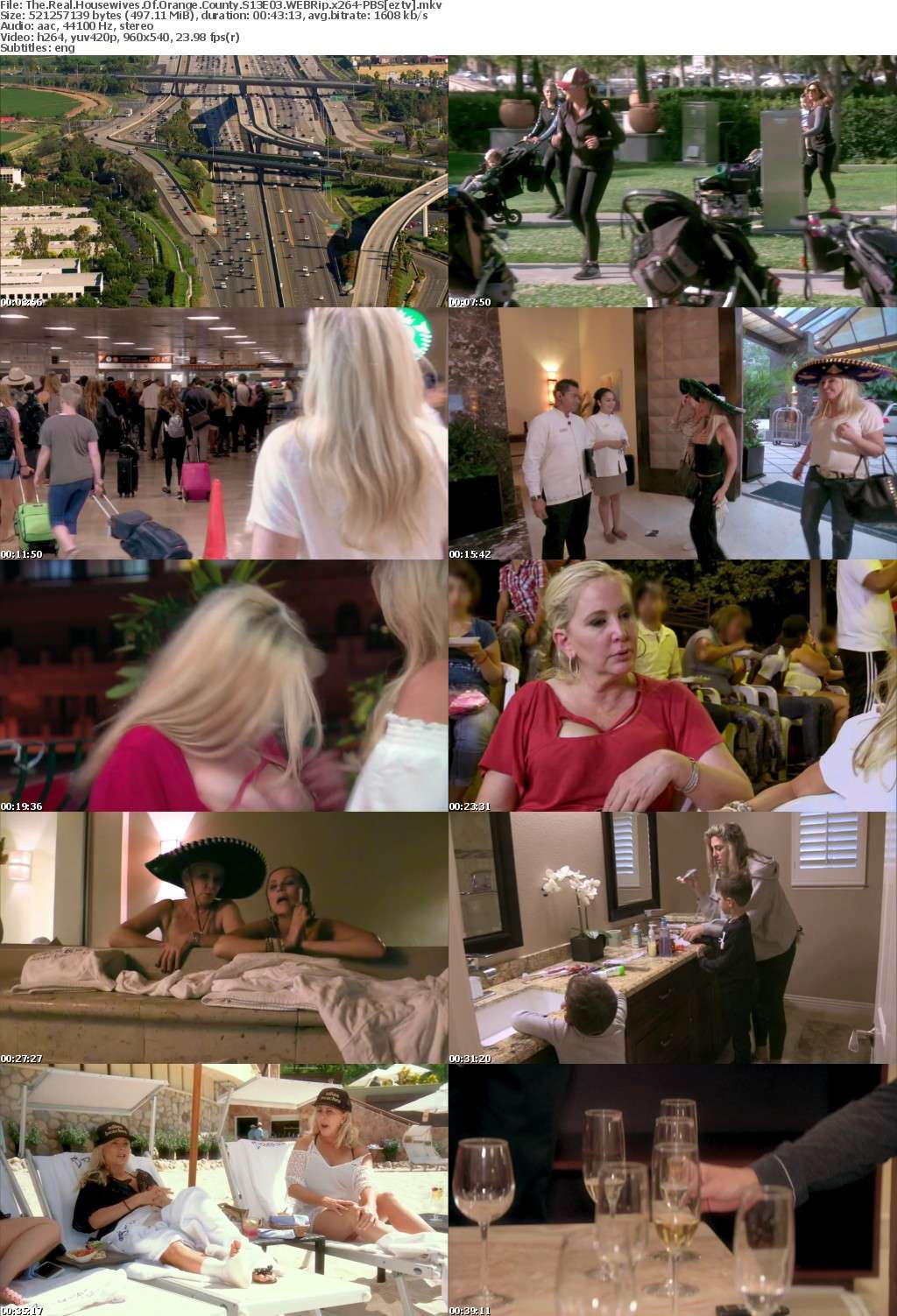 The Real Housewives Of Orange County S13E03 WEBRip x264-PBS