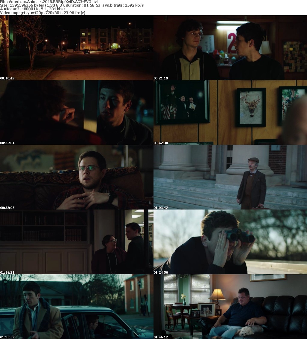 American Animals (2018) BRRip XviD AC3-EVO