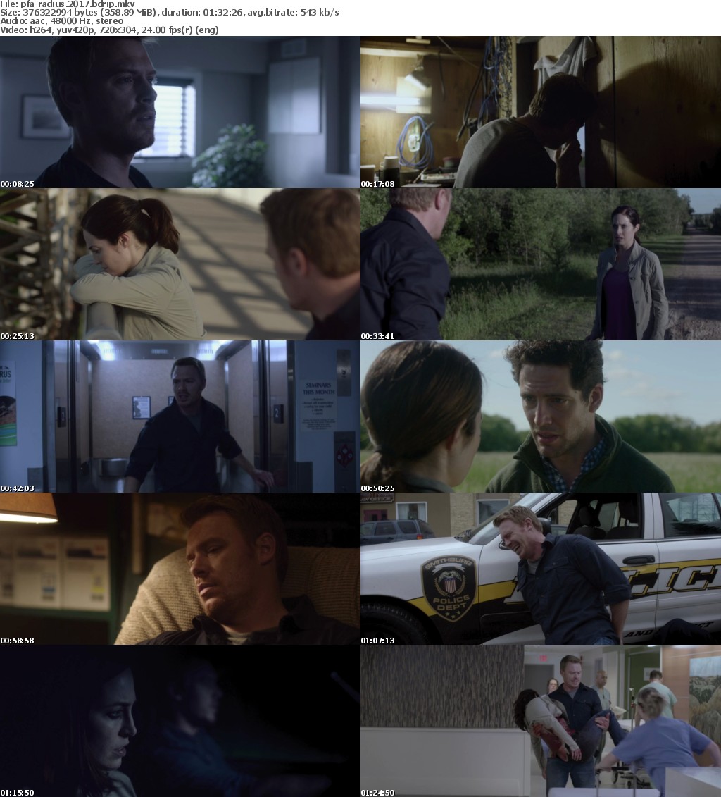 Radius (2017) BDRip x264-PFa