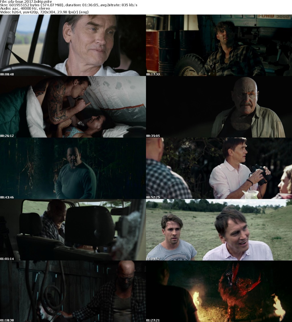 Boar (2017) BDRip x264-PFa