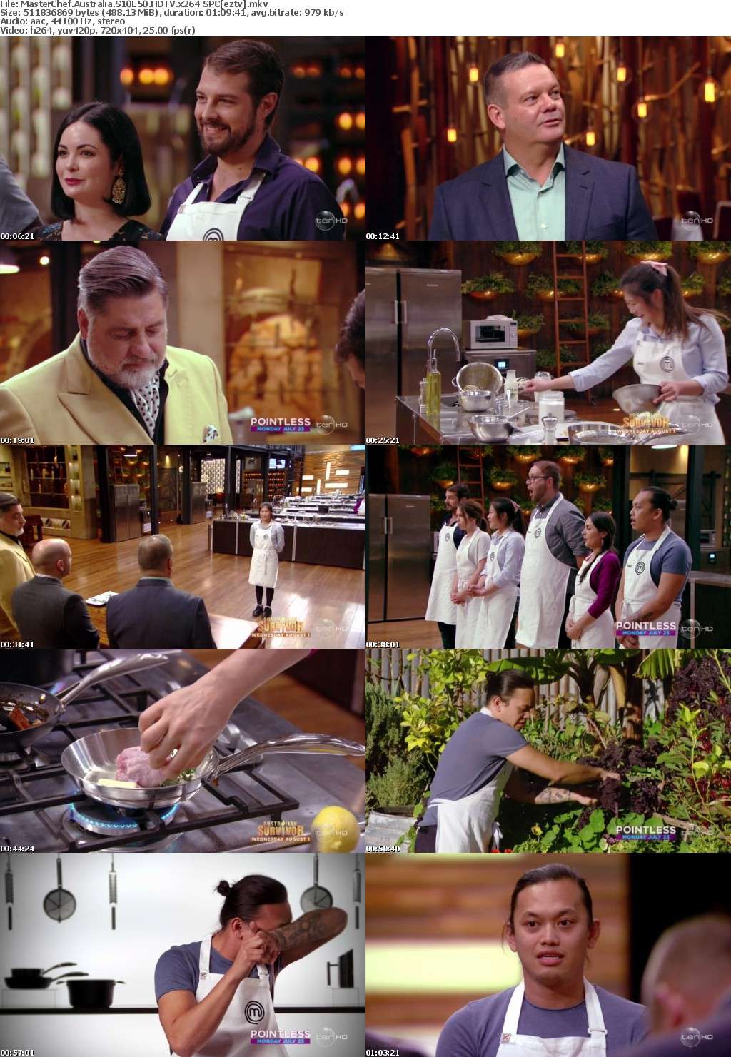 MasterChef Australia S10E50 HDTV x264-SPC