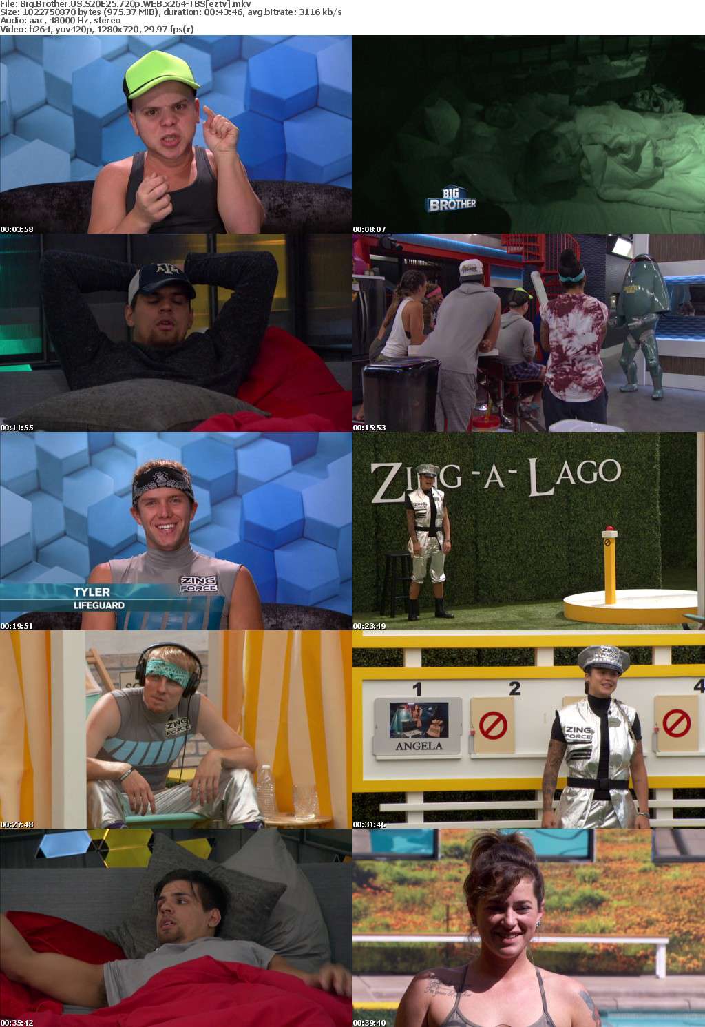 Big Brother US S20E25 720p WEB x264-TBS