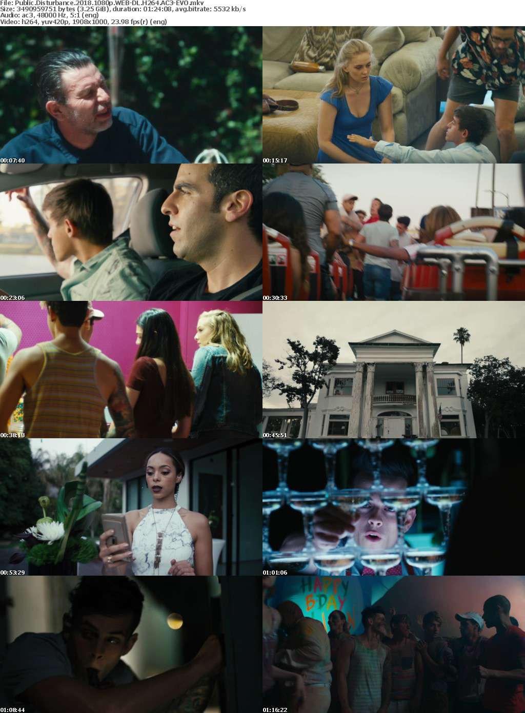 Public Disturbance (2018) 1080p WEB-DL H264 AC3-EVO