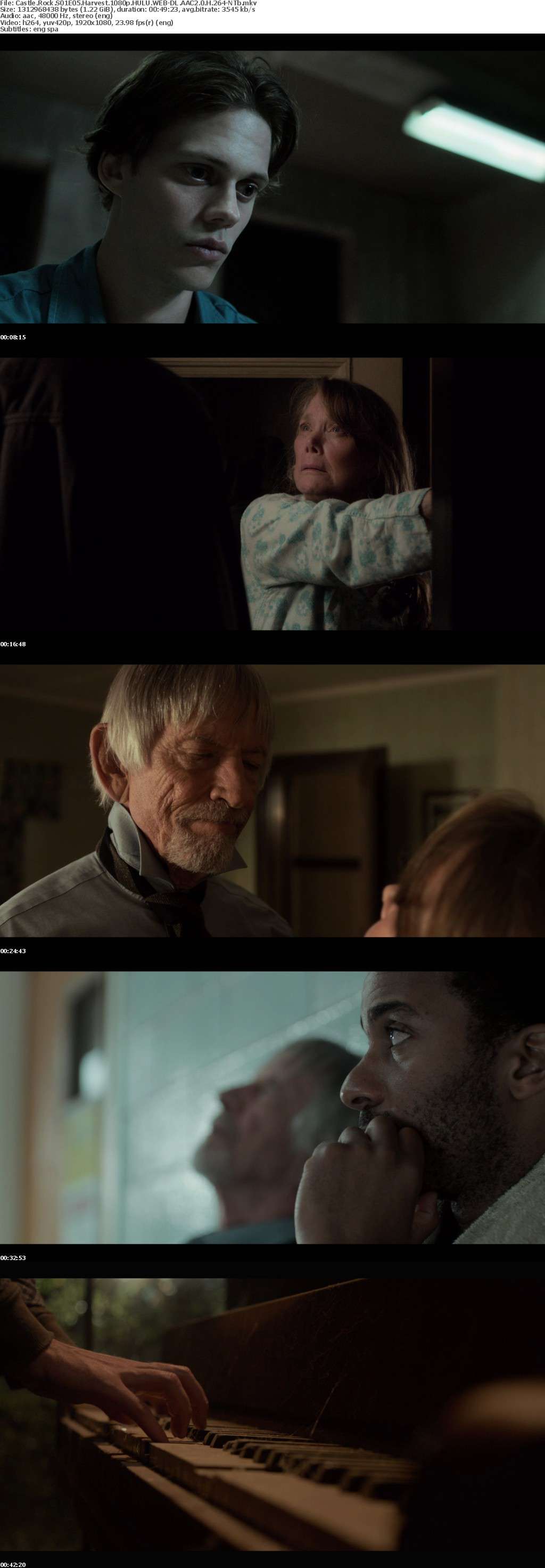 Castle Rock S01 REPACK 1080p HULU WEB-DL AAC2 0 H 264-NTb Castle Rock S01 REPACK 1080p HULU WEB-DL AAC2 0 H 264-NTb