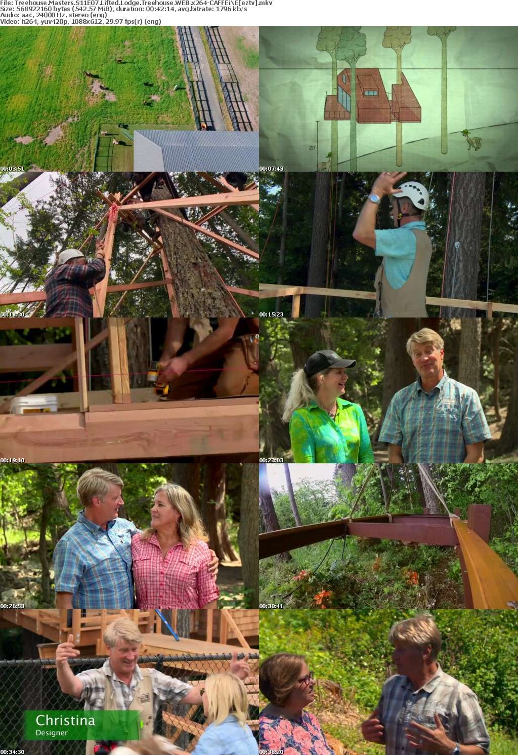 Treehouse Masters S11E07 Lifted Lodge Treehouse WEB x264-CAFFEiNE