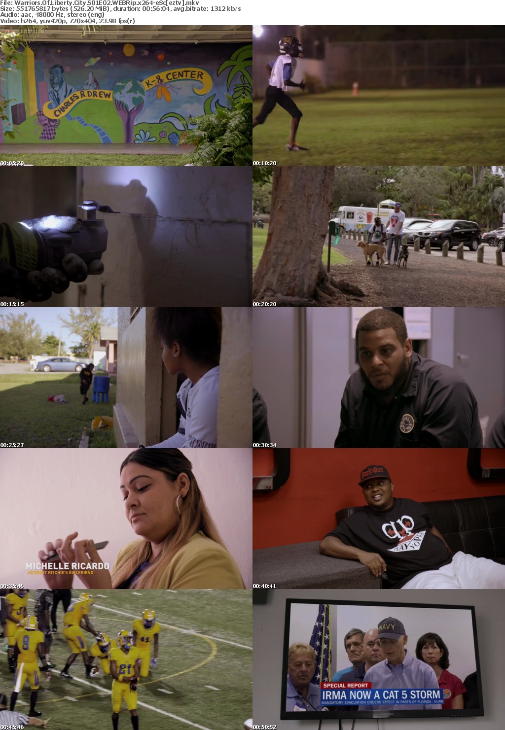 Warriors Of Liberty City S01E02 WEBRip x264-eSc