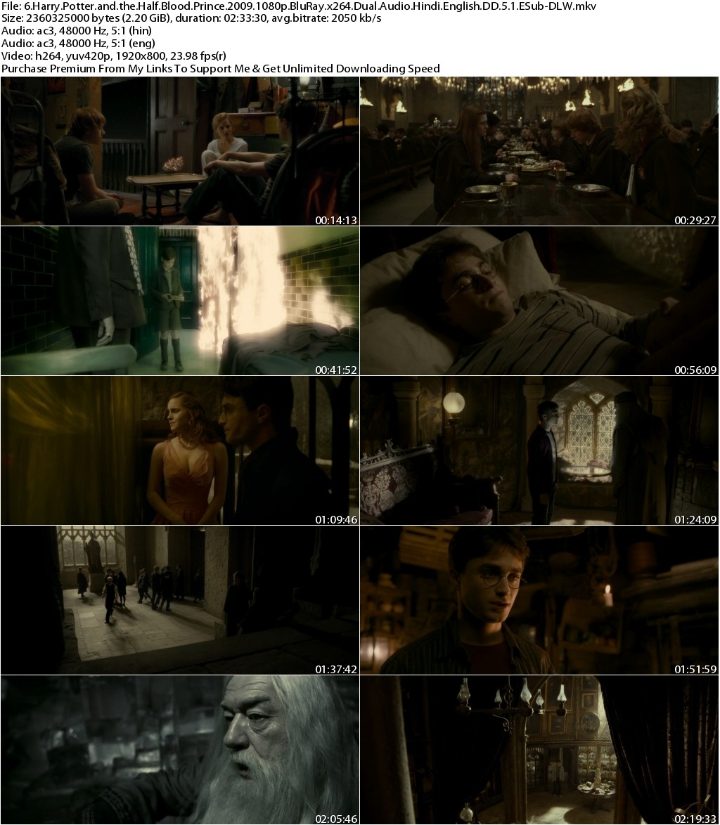 Harry Potter and the Half Blood Prince (2009) 1080p BluRay x264 Dual Audio Hindi English DD 5.1 ESub-DLW