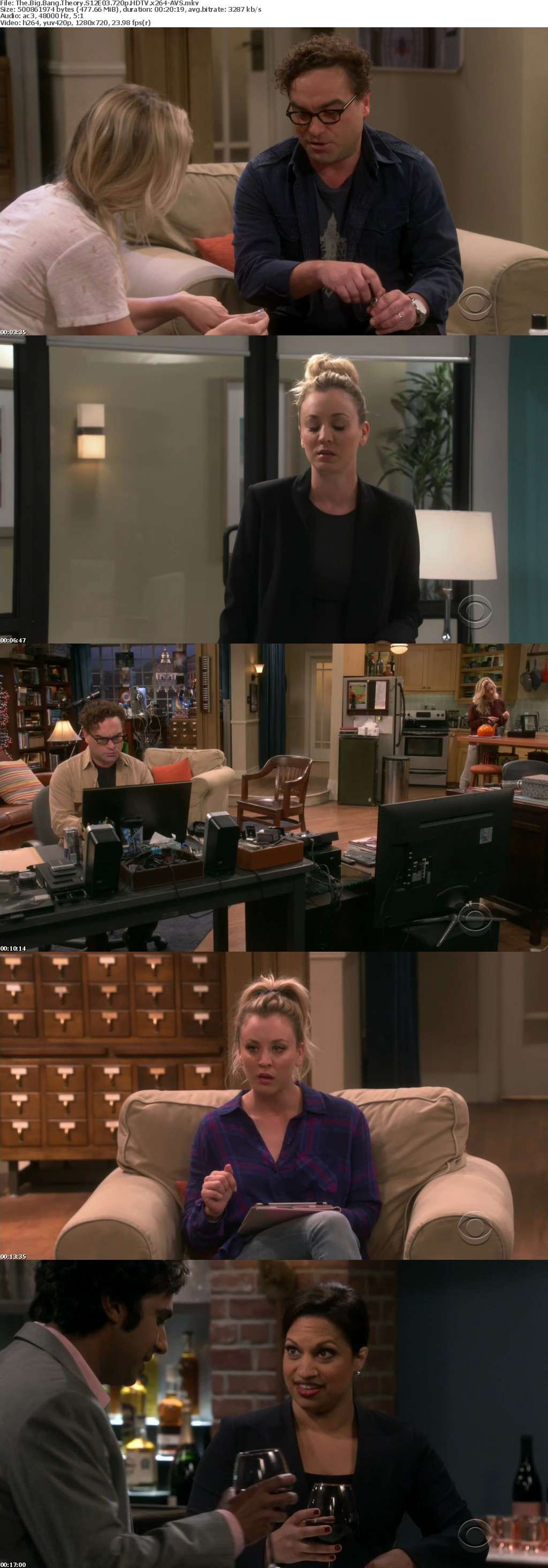 The Big Bang Theory S12E03 720p HDTV x264-AVS The Big Bang Theory S12E03 720p HDTV x264-AVS