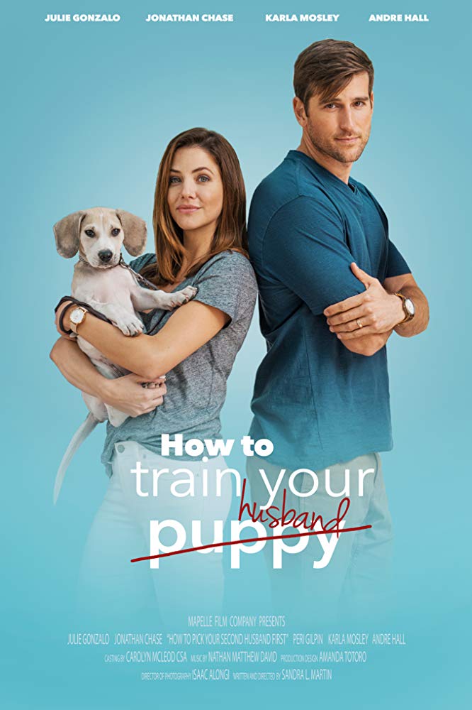 How to Train Your Husband (2018) HDRip AC3 X264-CMRG