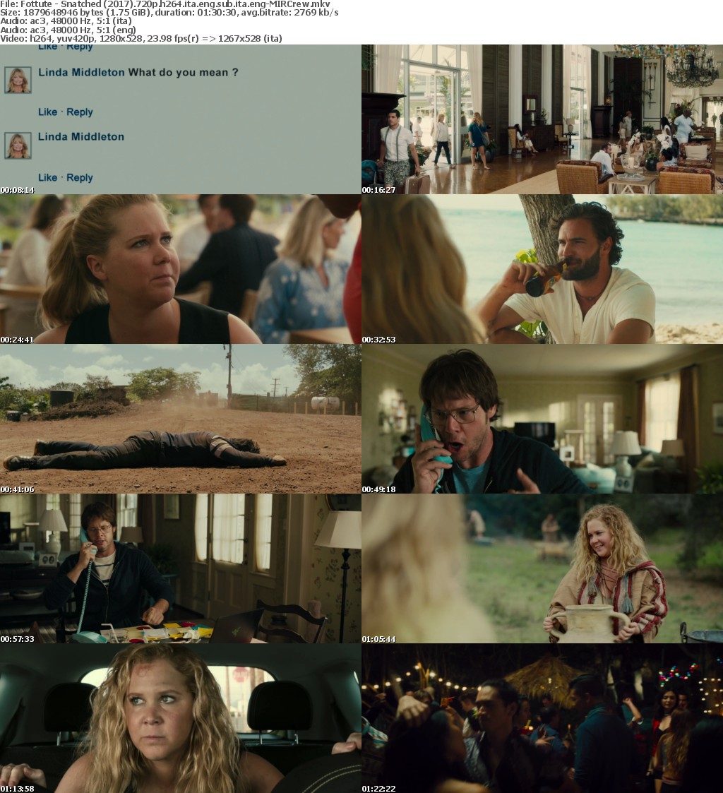 Snatched - Fottute! (2017) 720p BRRip H264 italian english Ac3-5.1 sub ita eng-MIRCrew