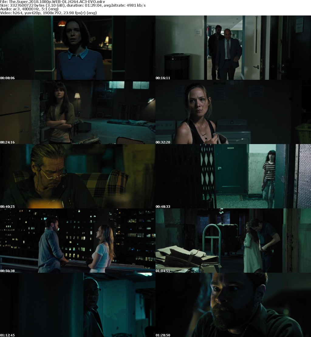 The Super (2018) 1080p WEB-DL H264 AC3-EVO