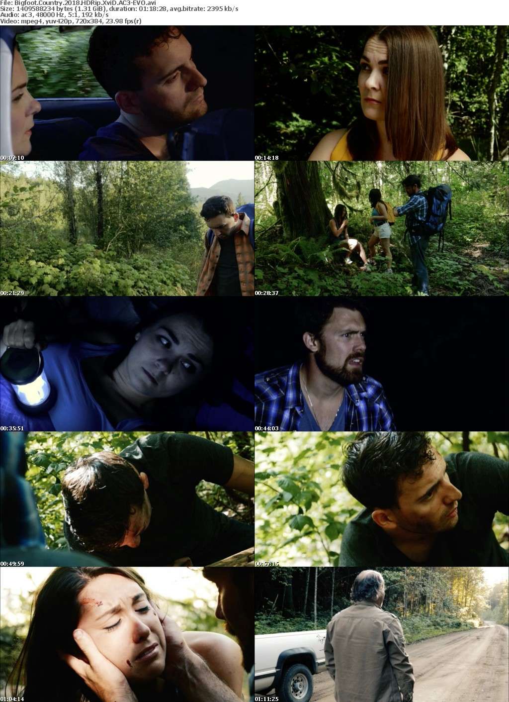 Bigfoot Country (2018) HDRip XviD AC3-EVO