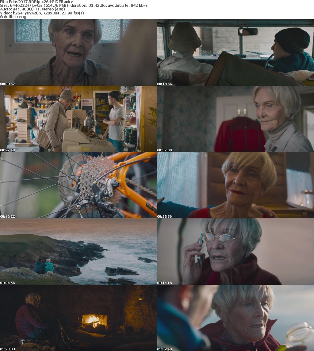 Edie (2017) BDRip x264-EiDER