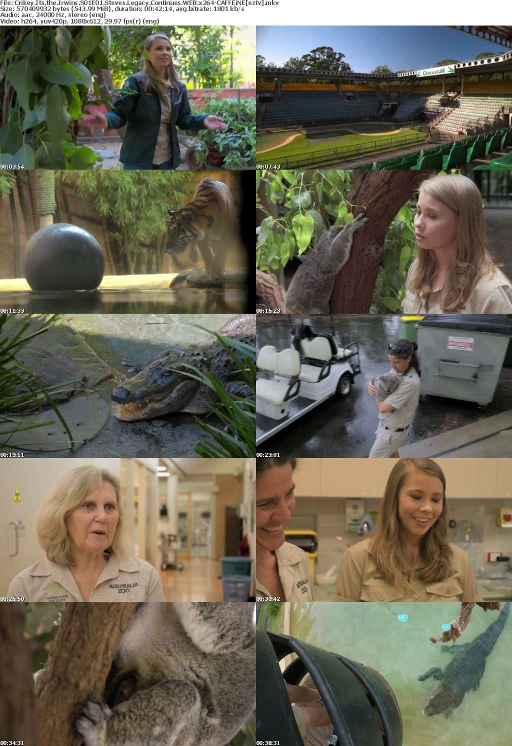 Crikey Its the Irwins S01E01 Steves Legacy Continues WEB x264-CAFFEiNE