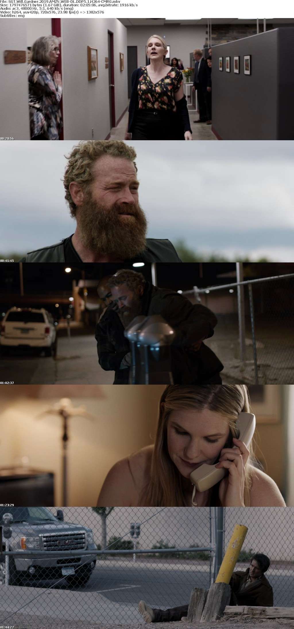 SGT Will Gardner 2019 AMZN WEBRip DDP5 1 x264-CM SGT Will Gardner 2019 AMZN WEBRip DDP5 1 x264-CM