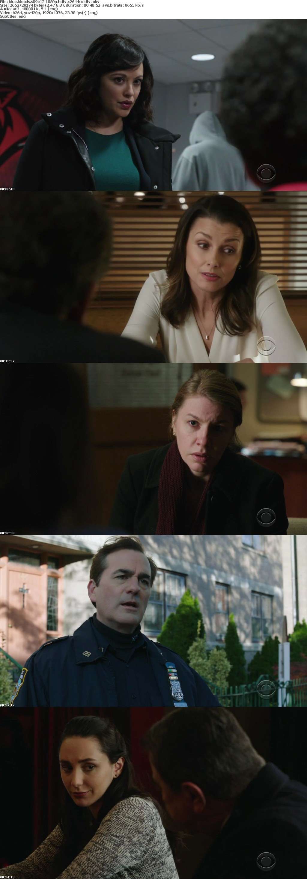 Blue Bloods S09E12 1080p HDTV x264-LucidTV Blue Bloods S09E12 1080p HDTV x264-LucidTV