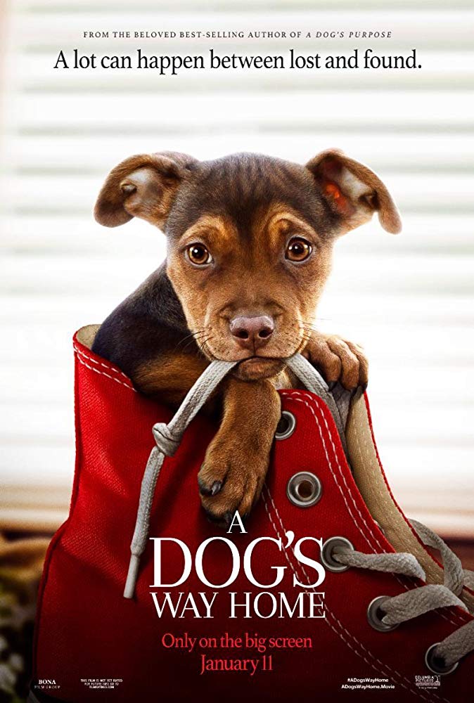 A Dogs Way Home 2019 720p HC WEBRip XviD MP3-STUTTERSHIT A Dogs Way Home 2019 720p HC WEBRip XviD MP3-STUTTERSHIT