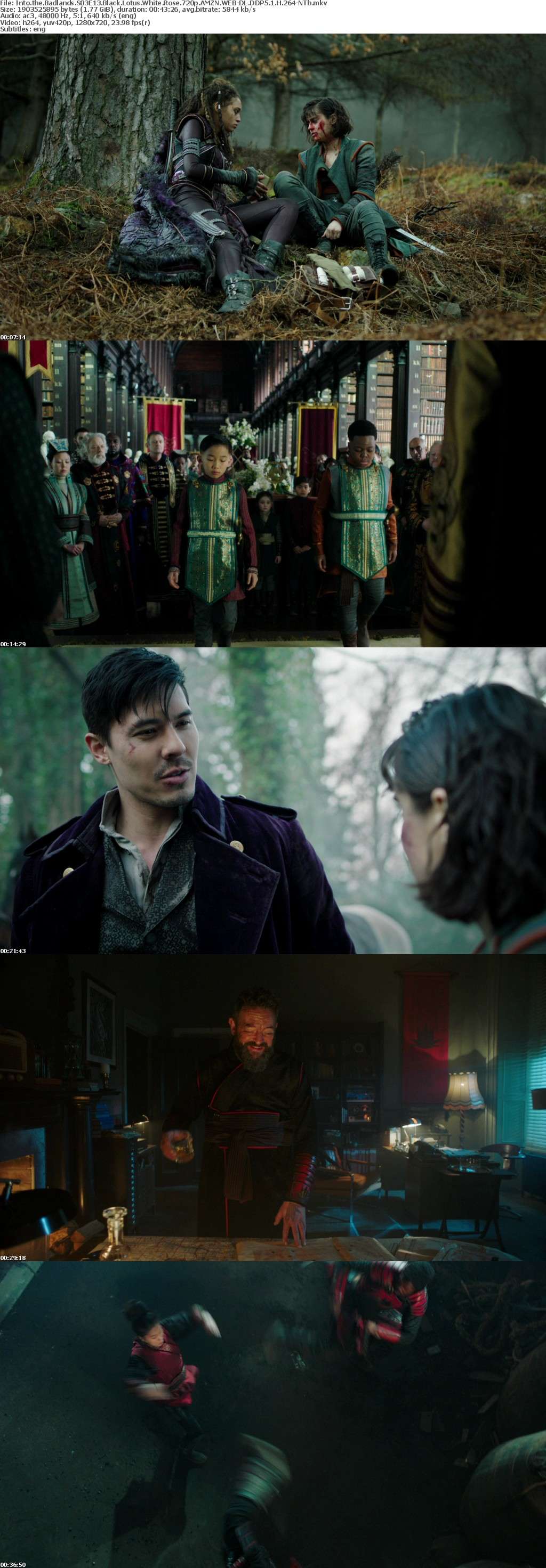 Into the Badlands S03E13 Black Lotus White Rose 720p AMZN WEB-DL DDP5 1 H 264-NTb Into the Badlands S03E13 Black Lotus White Rose 720p AMZN WEB-DL DDP5 1 H 264-NTb