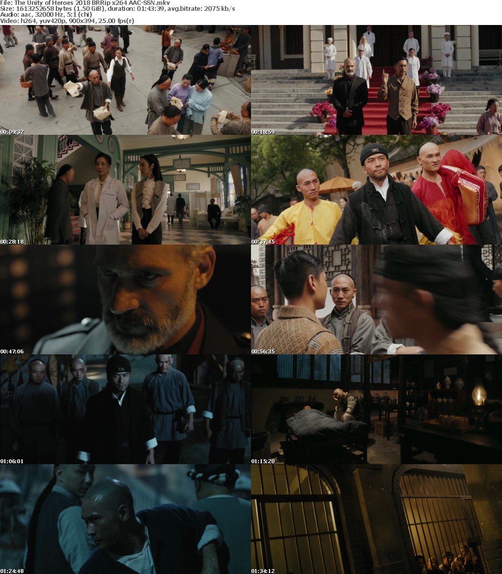 The Unity of Heroes (2018) BRRip x264 AAC-SSN