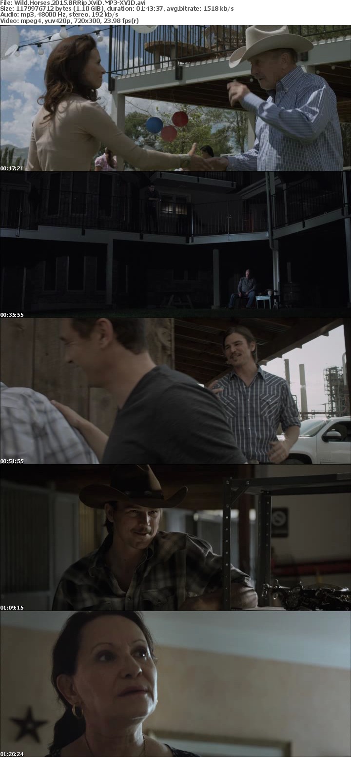 Wild Horses 2015 BRRip XviD MP3-XVID Wild Horses 2015 BRRip XviD MP3-XVID