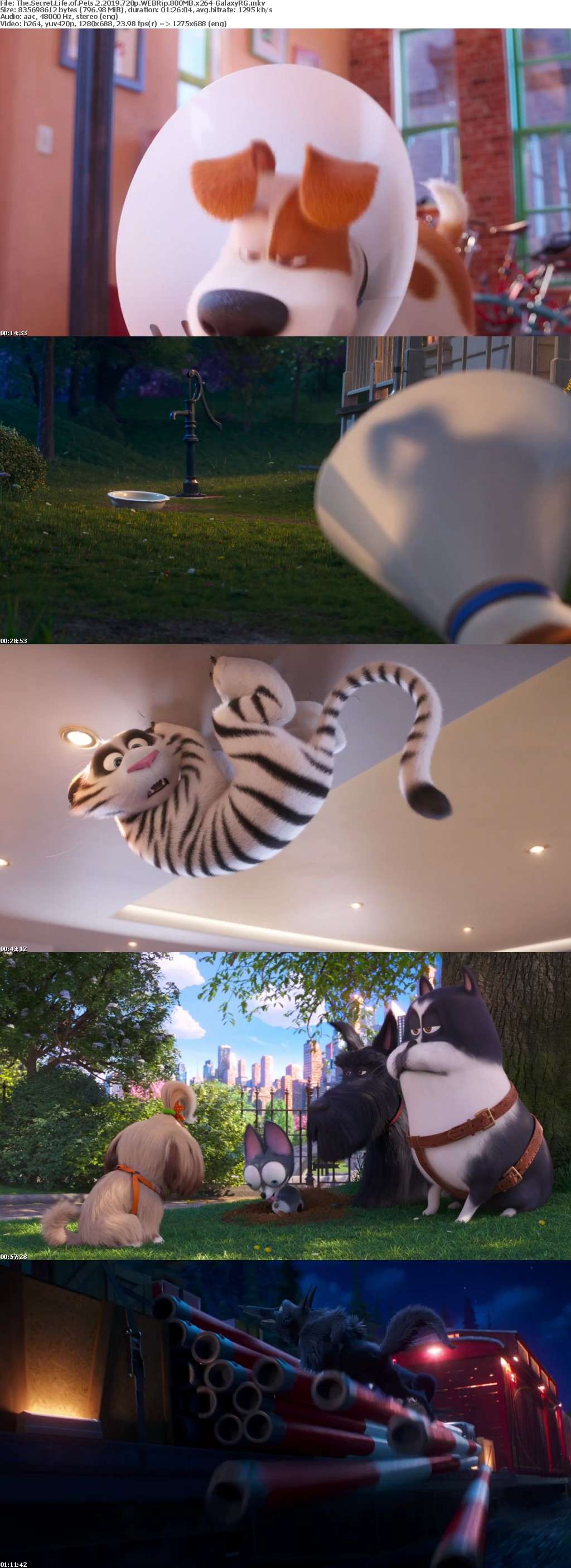 The Secret Life of Pets 2 2019 720p WEBRip 800MB x264-GalaxyRG The Secret Life of Pets 2 2019 720p WEBRip 800MB x264-GalaxyRG