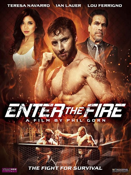 Enter The Fire (2018) HDip x264 - SHADOW