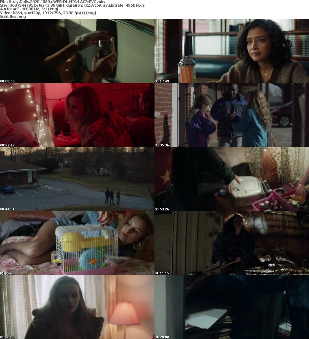 Stray Dolls 2020 1080p WEB-DL H264 AC3-EVO Stray Dolls 2020 1080p WEB-DL H264 AC3-EVO